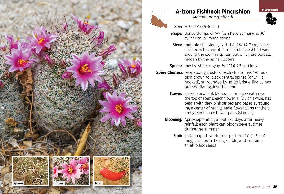 AdventureKEEN - Cacti of Arizona 2e
