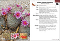 AdventureKEEN - Cacti of Arizona 2e