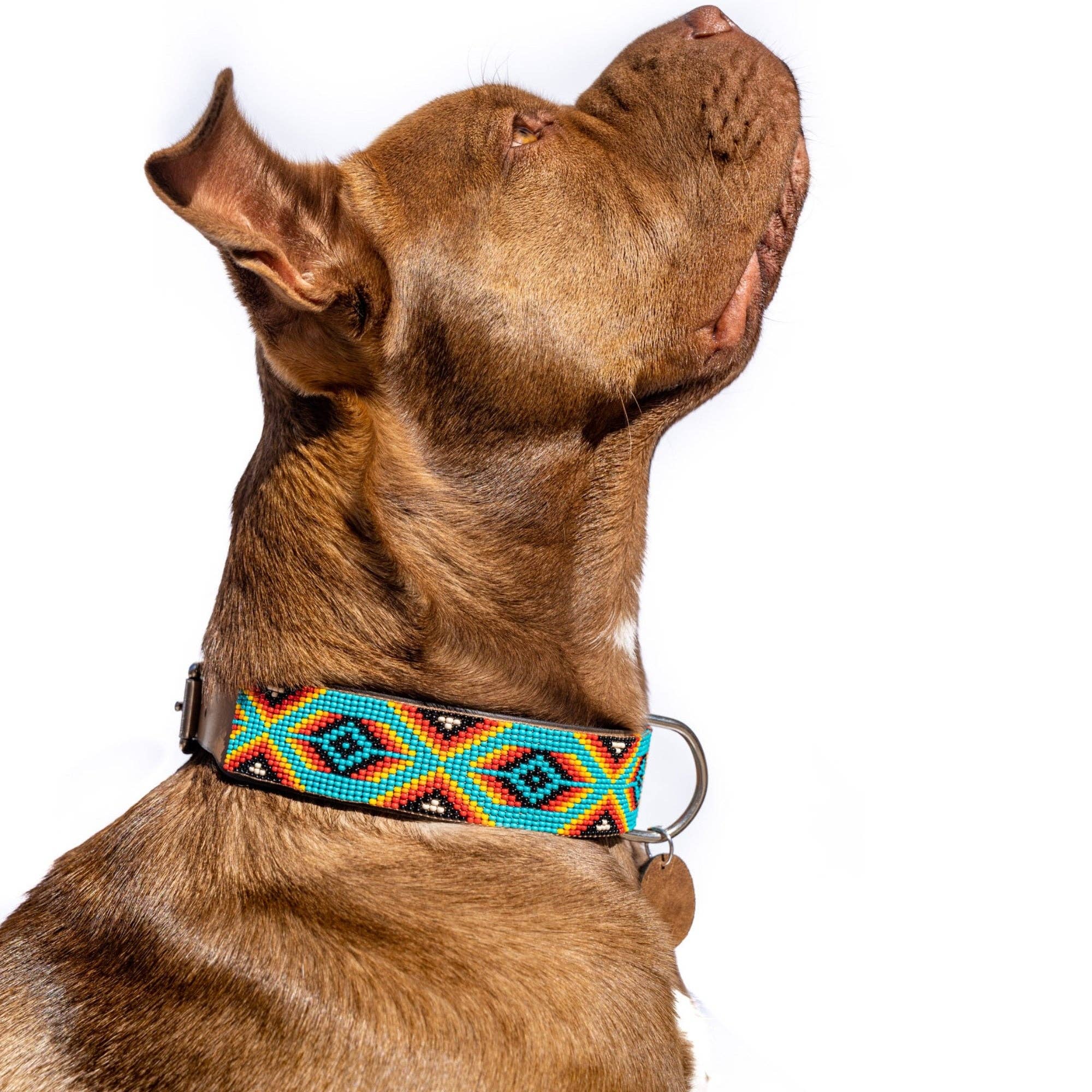 Sambboho - Bahamas Sambboho Dog Collar (with Center D-ring): 12-14"
