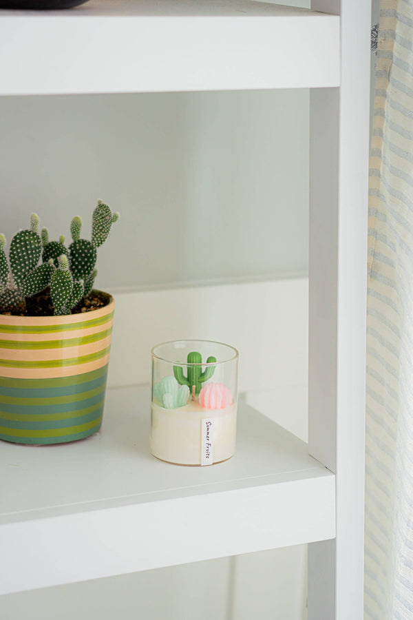 ZOETSTUDIO - Cactus Candle | Soy Blend Candle: Mountain Walk