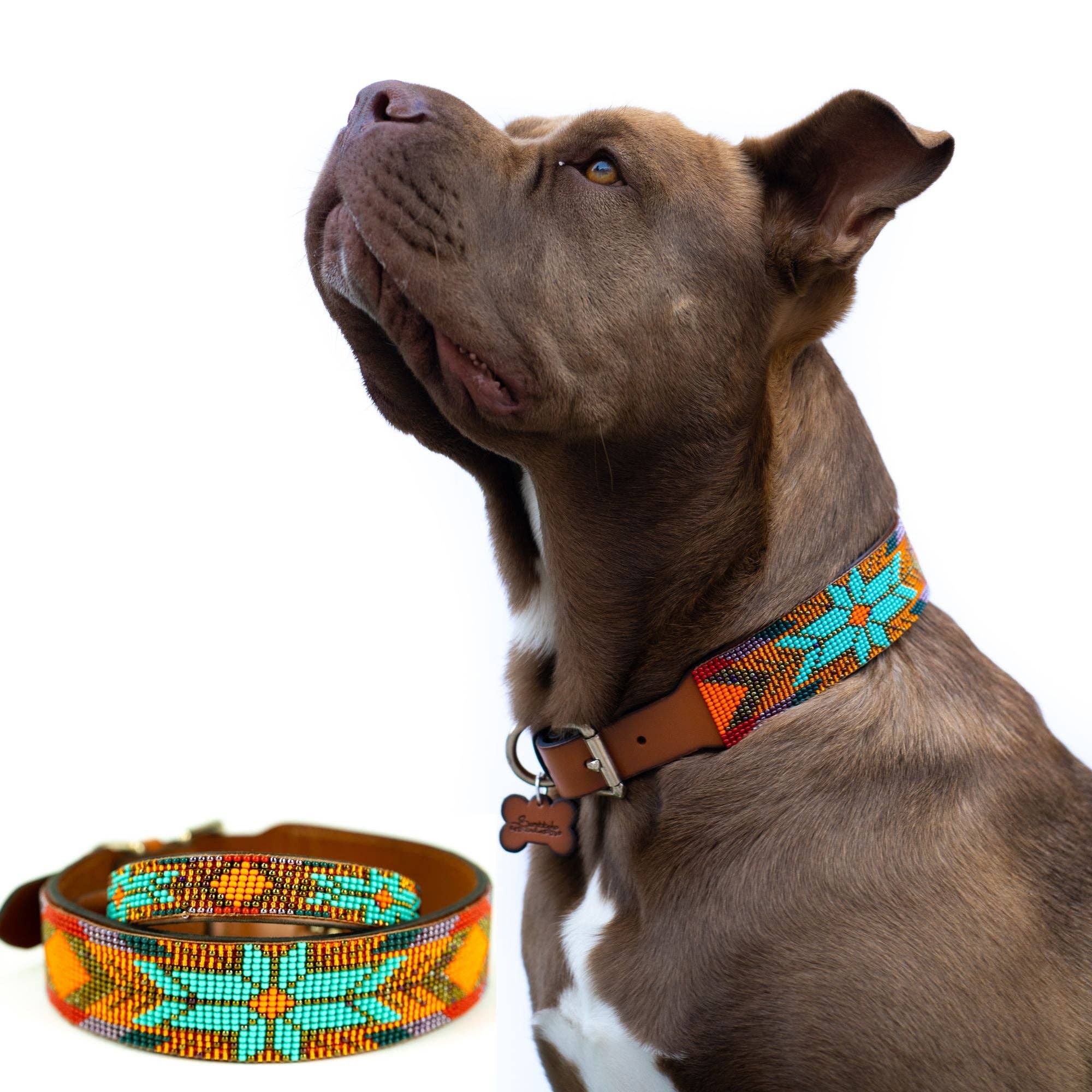 Sambboho - Sardinia Sambboho Dog Collar (Glam Collection): 12-14"