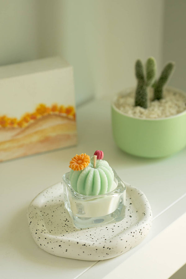 ZOETSTUDIO - Barrel Cactus Tealight Candles: Green w/ red