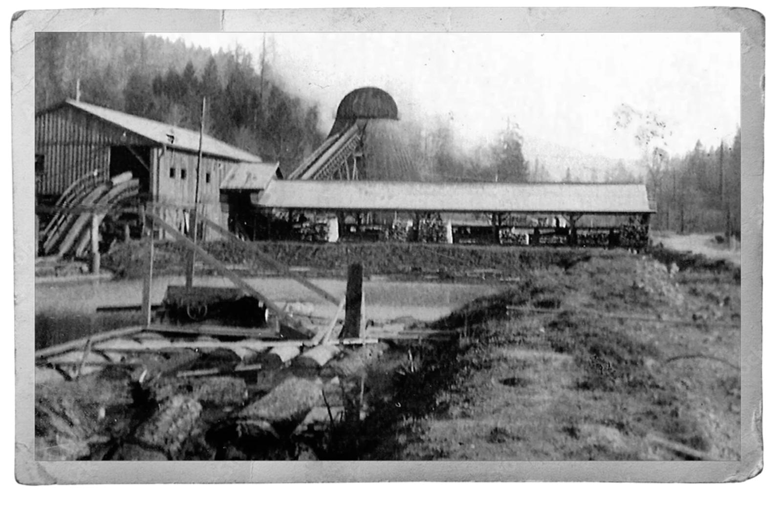 Vintage black and white photograph of a sawmill in northern California in the redwood forest where Cecil phillips worked before moving to Texas. 