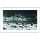 ACC Art Books Ltd - West: The American Cowboy-3