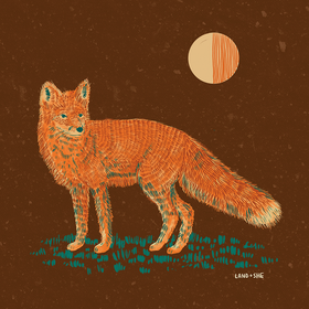 Land & She - Moonlit Fox