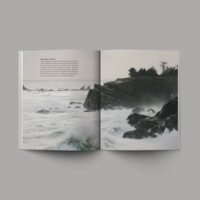 Alabaster Co - Gospels Hardcover: New Living Translation (NLT) - 0