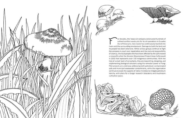 Insight Editions - Fantastic Fungi: The Coloring Book