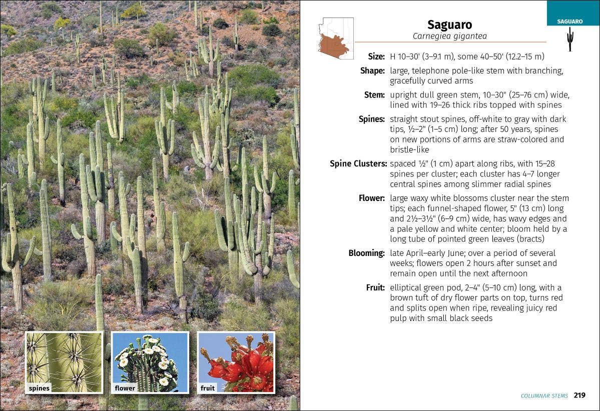 AdventureKEEN - Cacti of Arizona 2e