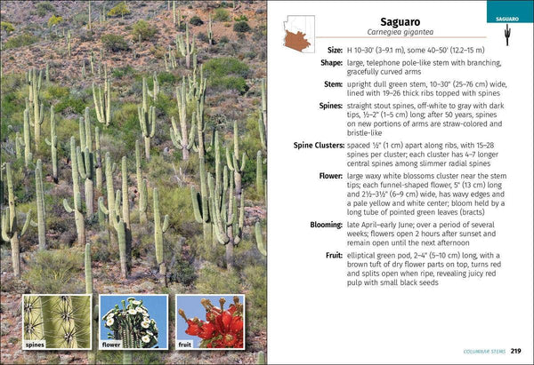 AdventureKEEN - Cacti of Arizona 2e