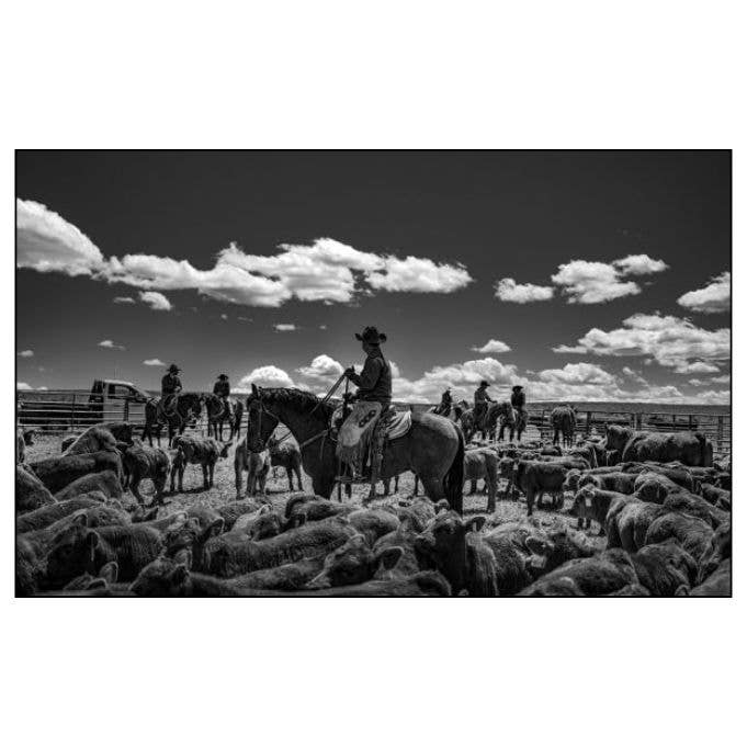 ACC Art Books Ltd - Ranchland: Wagonhound - 0
