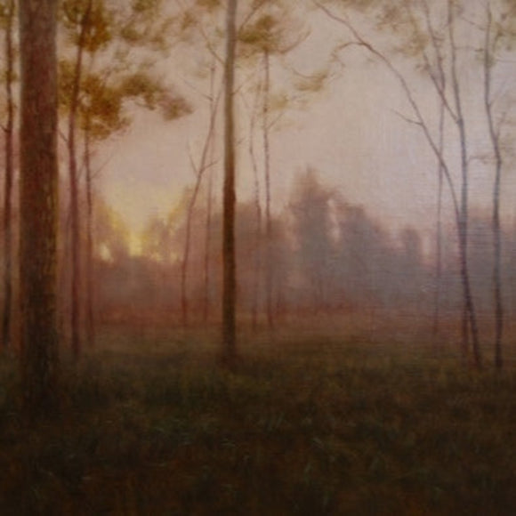 a portrait of lennox woods in clarksville texas by deborah paris