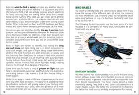 AdventureKEEN - Birds of Oklahoma Field Guide 2e - 0