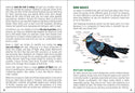 AdventureKEEN - Birds of Oklahoma Field Guide 2e