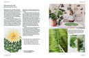 Microcosm Publishing & Distribution - Botanical Bible-7
