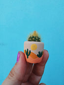 O'Berry's Succulents - Desert Pot-1
