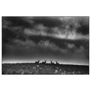 ACC Art Books Ltd - Ranchland: Wagonhound-3
