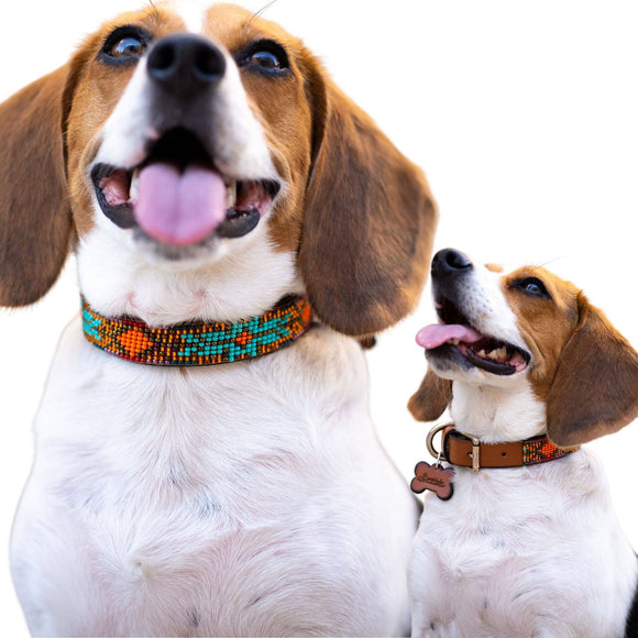 Sambboho - Sardinia Sambboho Dog Collar (Glam Collection): 12-14"