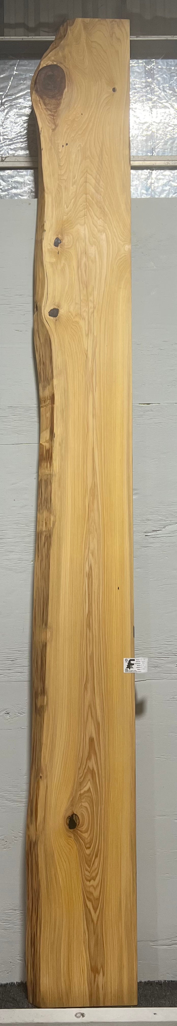 Natural cypress wood slab with rich grain patterns and live edge, perfect for custom dining tables or countertops