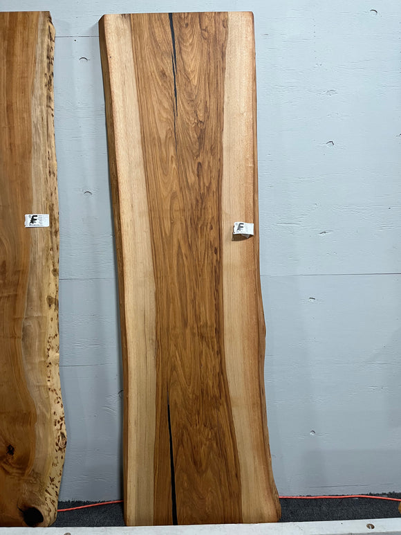 Live edge pecan slab with rich golden-brown tones, natural grain patterns, and organic edges
