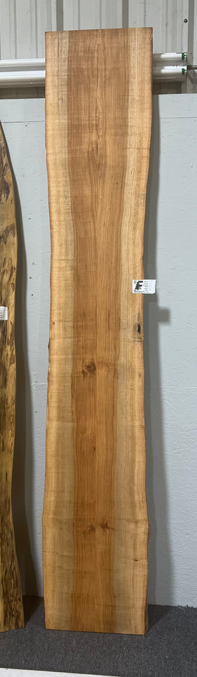 Live edge pecan slab with rich golden-brown tones, natural grain patterns, and organic edges
