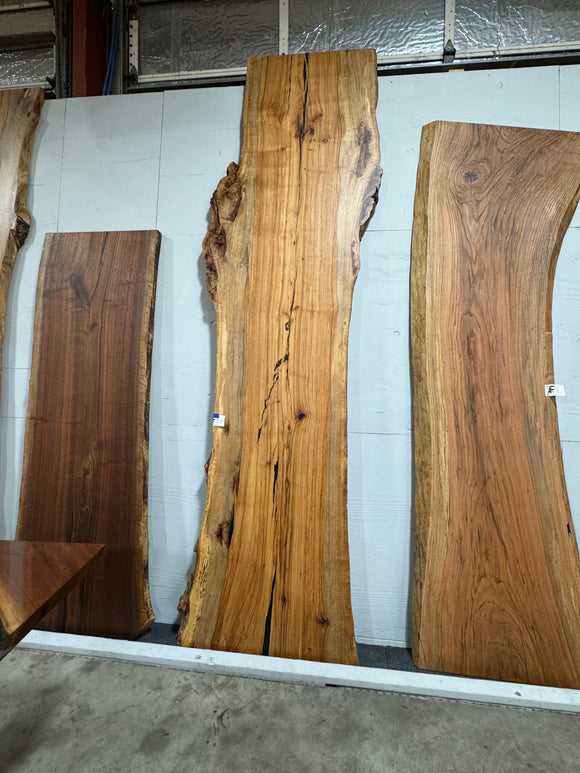 Live edge pecan slab with rich golden-brown tones, natural grain patterns, and organic edges
