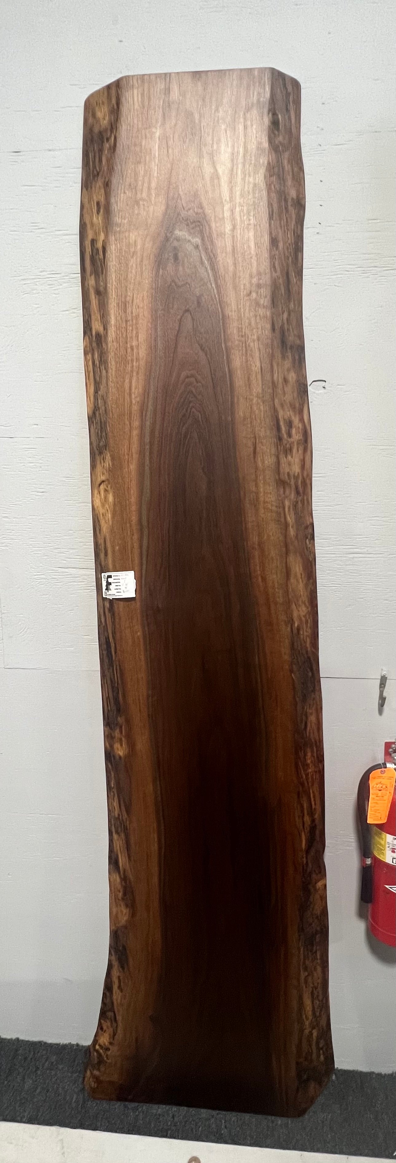 Live edge walnut wood slab with rich dark grain and natural edges.