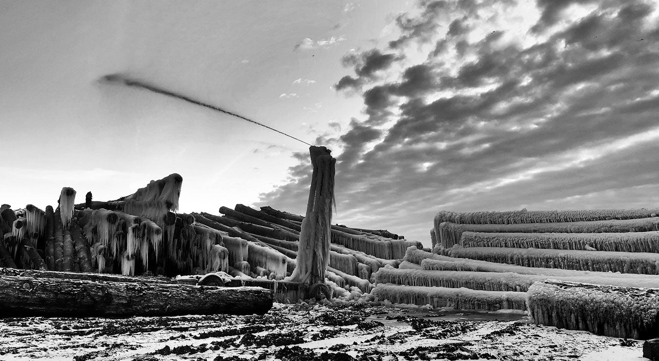 winter logs
