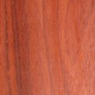 Close-up view of a piece of padauk lumber displaying its wood grain.