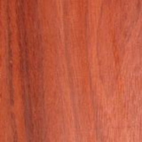 Close-up view of a piece of padauk lumber displaying its wood grain.