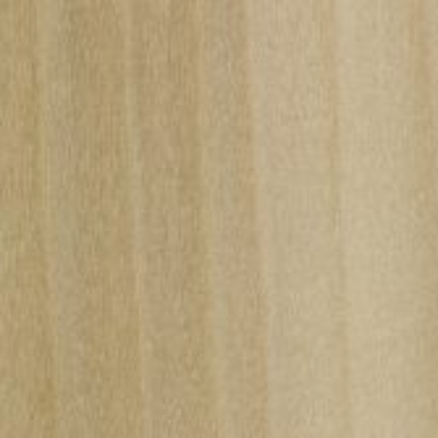 Close-up view of a piece of poplar lumber displaying its wood grain.