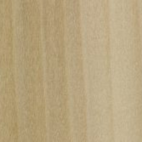 Close-up view of a piece of poplar lumber displaying its wood grain.