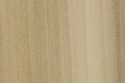 Poplar Lumber
