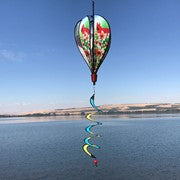Cardinal Hot Air Balloon - 0