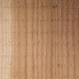 Close-up view of a piece of rough sawn cedar lumber displaying its wood grain