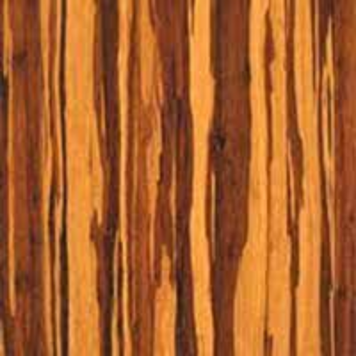 Close-up view of a piece of tiger wood lumber displaying its wood grain.