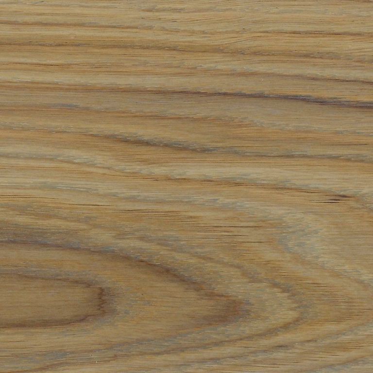 Oil Plus 2C Colors