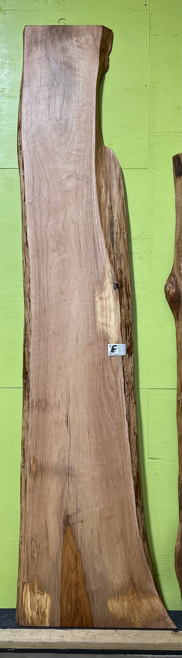 Live edge pecan slab with rich golden-brown tones, natural grain patterns, and organic edges