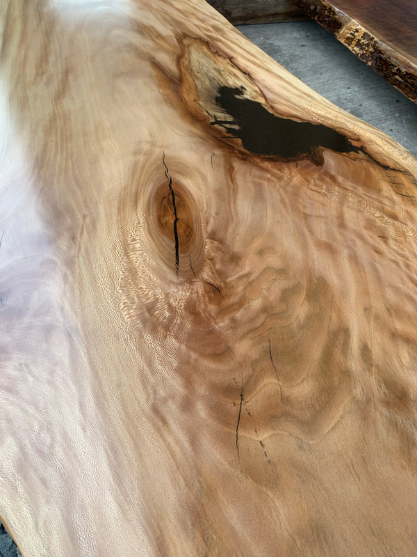 Live Edge Sycamore Slab