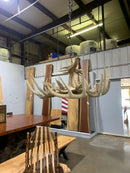 Whitetail Antler Chandelier-3