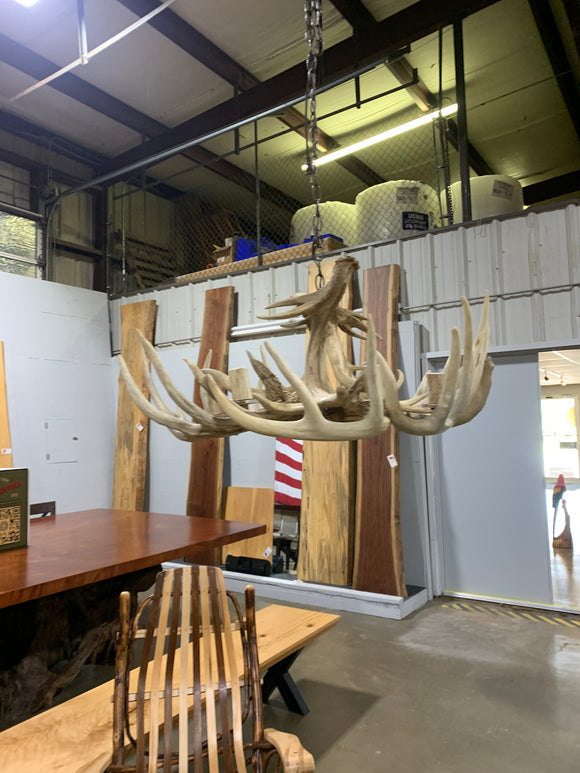 Whitetail Antler Chandelier