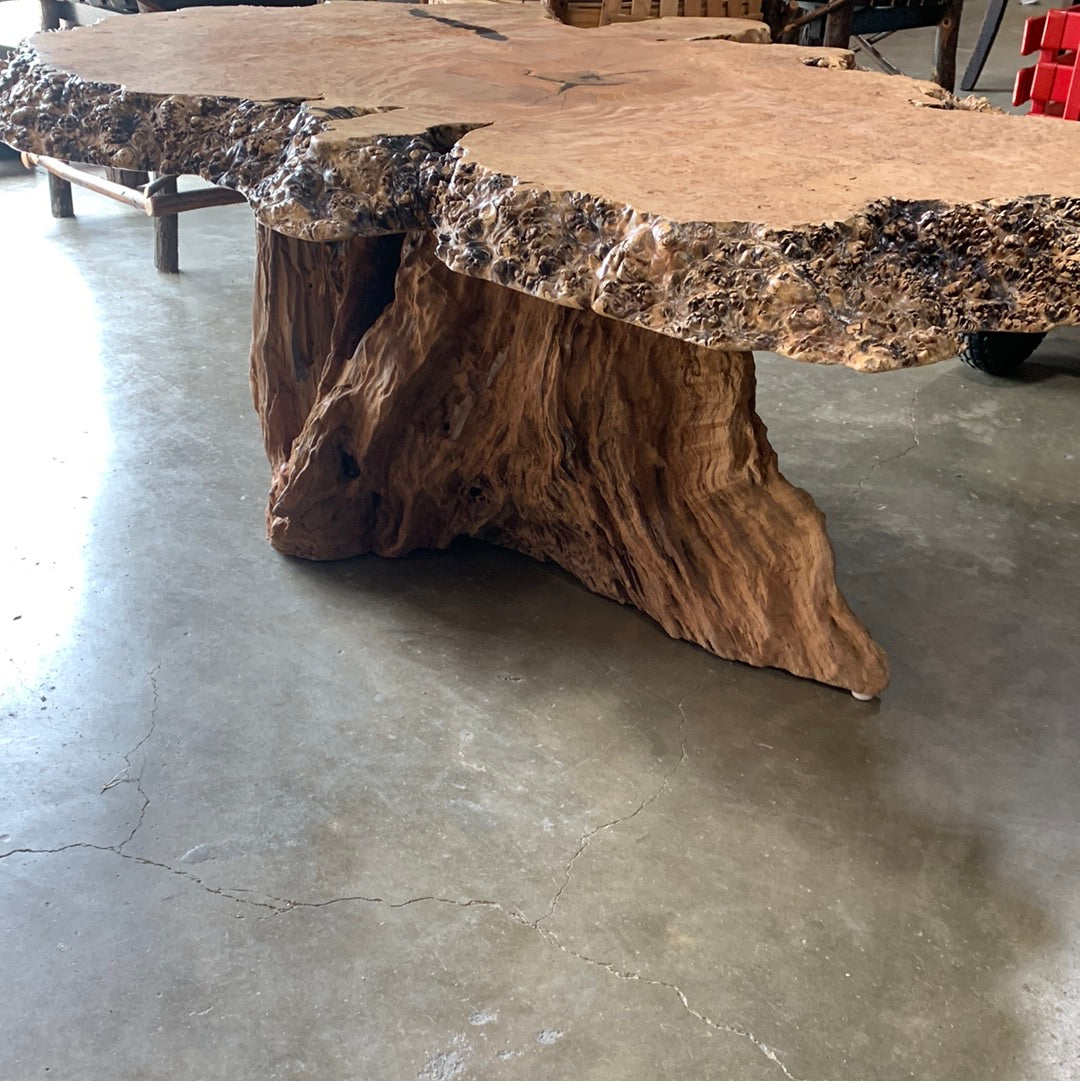 Maple Burl Coffee Table w/ Redwood Base - 0