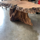 Maple Burl Coffee Table w/ Redwood Base-2