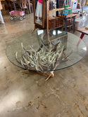 White Tail Antler Coffee Table