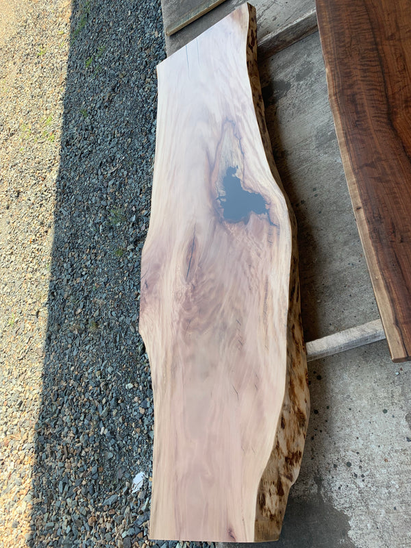 Live Edge Sycamore Slab