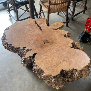 Maple Burl Coffee Table w/ Redwood Base