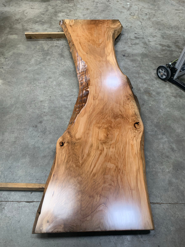 Live Edge Sycamore Slab LES069-The Phillips Forest Store-live edge dining table