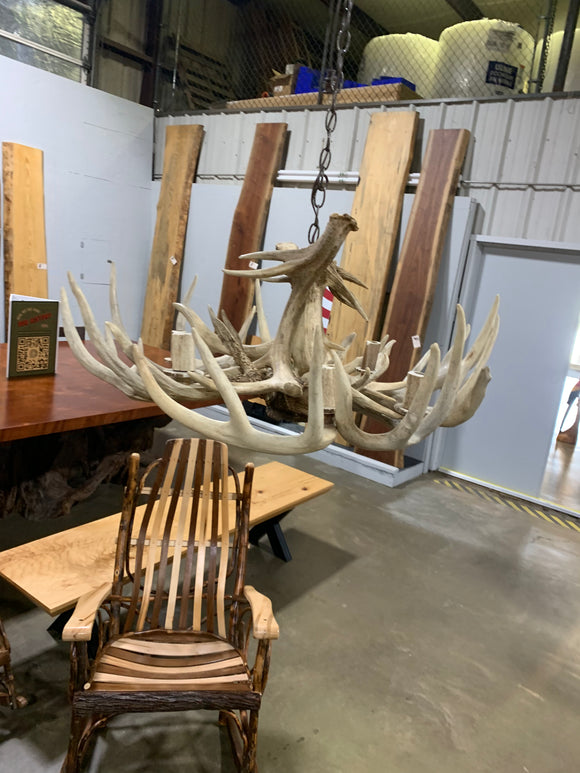 Whitetail Antler Chandelier