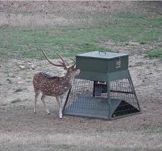 400 lbs Deer Feeder