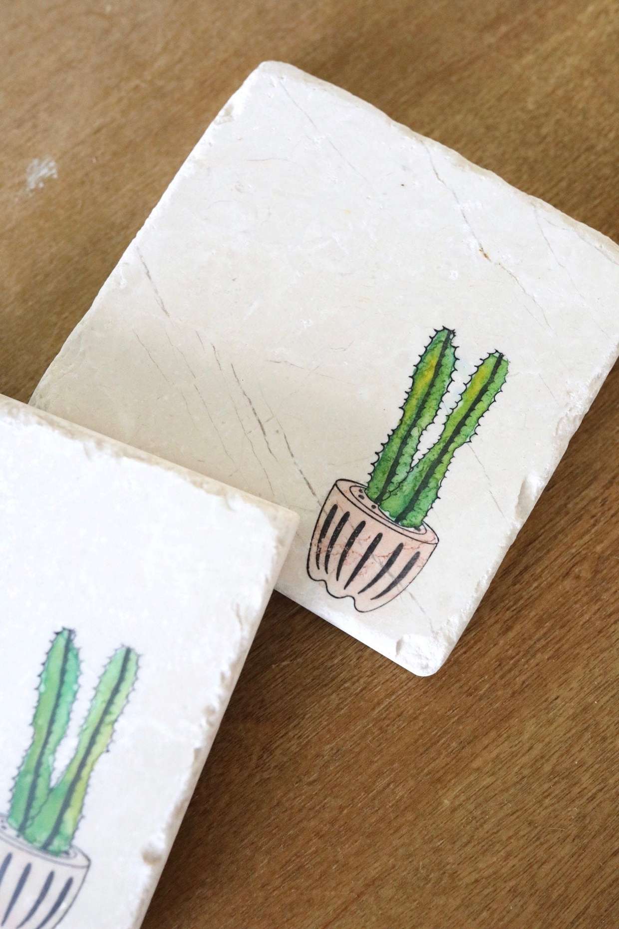 Painted Cactus Marble Coaster- Set of 4 - 0