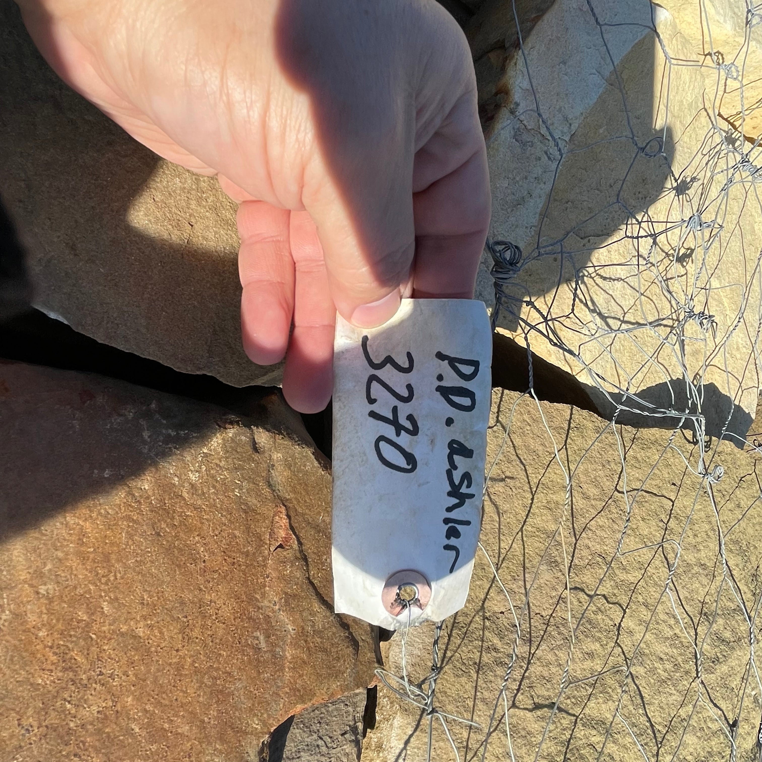 Painted Desert Asher Chop Rock - 0